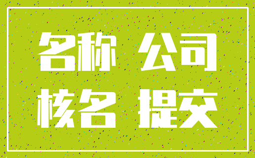 名称 公司_核名 提交