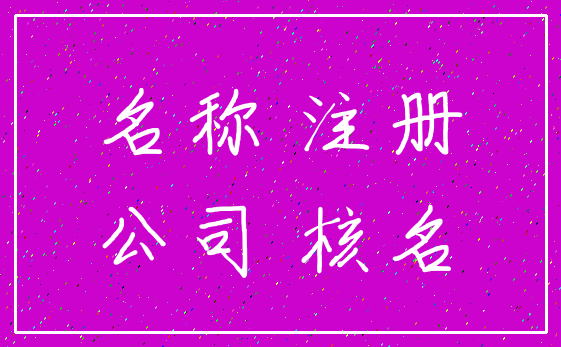 名称 注册_公司 核名