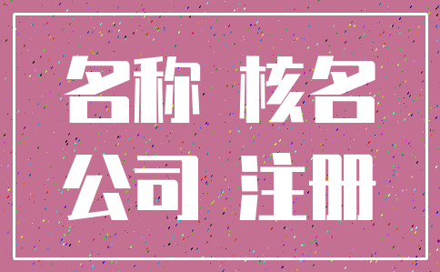 名称 核名_公司 注册