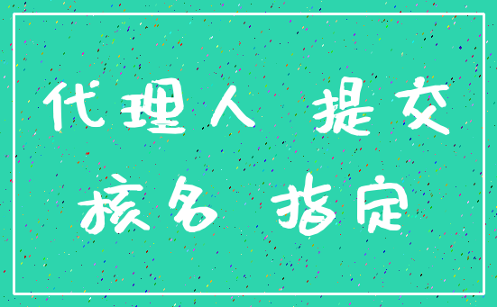 代理人 提交_核名 指定