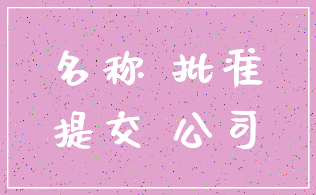 名称 批准_提交 公司