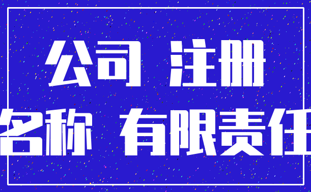公司 注册_名称 有限责任