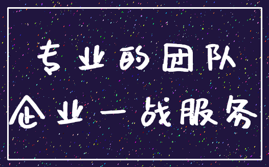 专业的团队_企业一战服务