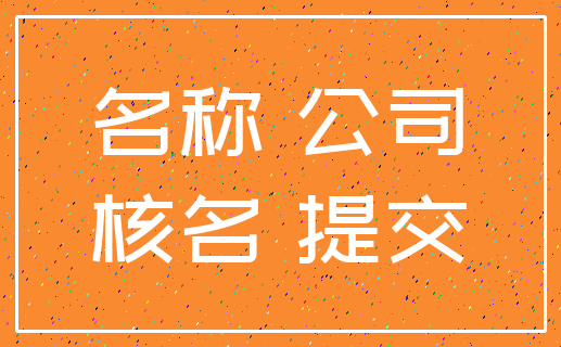 名称 公司_核名 提交