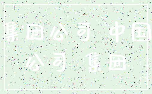 集团公司 中国_公司 集团