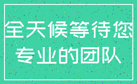 全天候等待您_专业的团队
