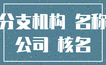 分支机构 名称_公司 核名