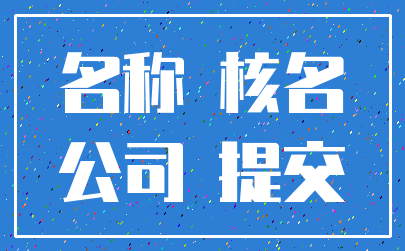 名称 核名_公司 提交