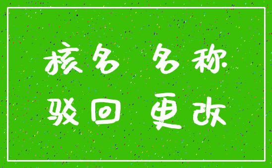 核名 名称_驳回 更改