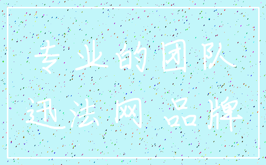 专业的团队_迅法网 品牌