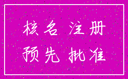 核名 注册_预先 批准