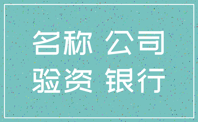 名称 公司_验资 银行