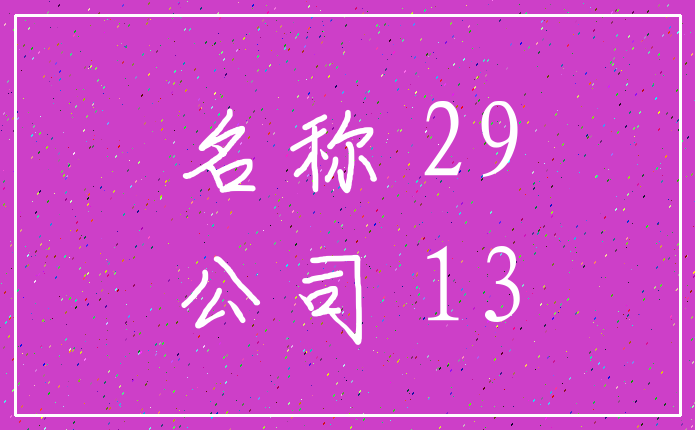 名称 29_公司 13