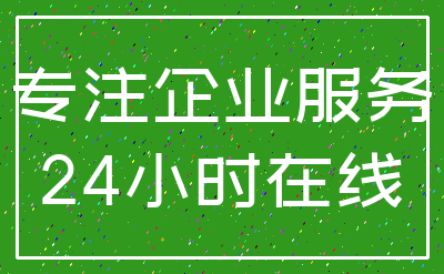专注企业服务_24小时在线