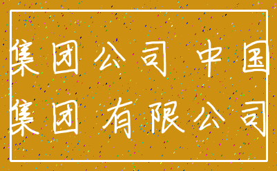 集团公司 中国_集团 有限公司