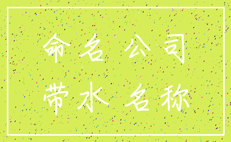 命名 公司_带水 名称