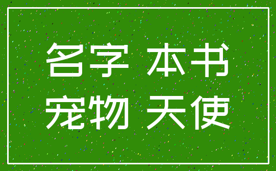 名字 本书_宠物 天使
