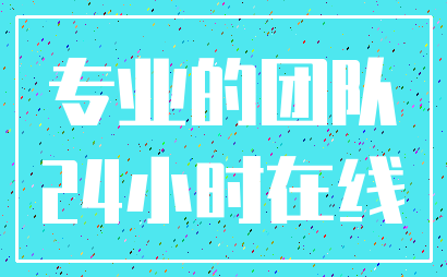 专业的团队_24小时在线