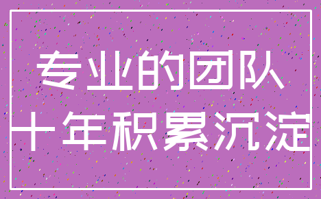 专业的团队_十年积累沉淀