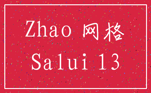Zhao 网格_Salui 13