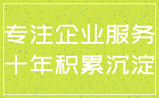 专注企业服务_十年积累沉淀