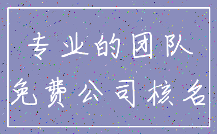 专业的团队_免费公司核名