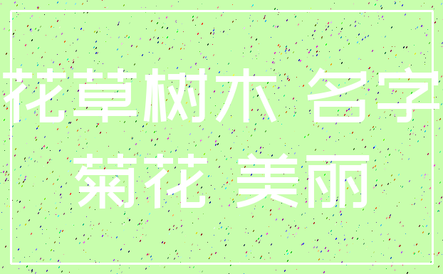 花草树木 名字_菊花 美丽