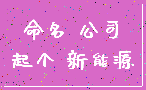 命名 公司_起个 新能源
