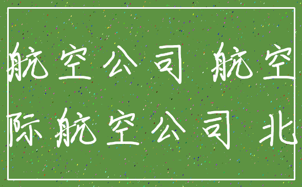 航空公司 航空_国际航空公司 北欧
