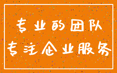 专业的团队_专注企业服务