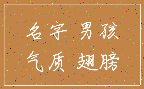 名字 男孩_气质 翅膀