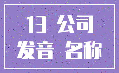 13 公司_发音 名称