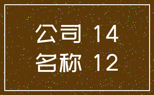 公司 14_名称 12