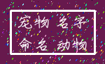宠物 名字_命名 动物