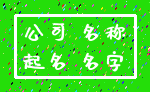 公司 名称_起名 名字