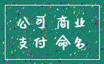 公司 商业_支付 命名