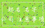起名 名字_公司 注意事项