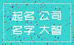 起名 公司_名字 大智