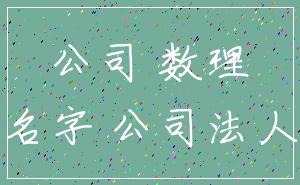 公司 数理_名字 公司法人
