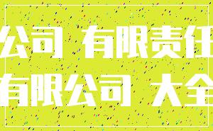 公司 有限责任_有限公司 大全