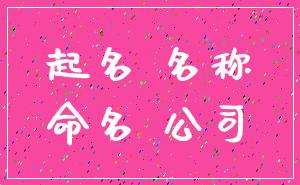起名 名称_命名 公司