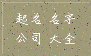 起名 名字_公司 大全
