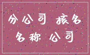 分公司 核名_名称 公司