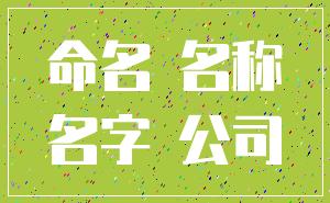 命名 名称_名字 公司
