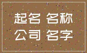 起名 名称_公司 名字
