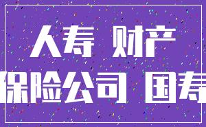 人寿 财产_保险公司 国寿