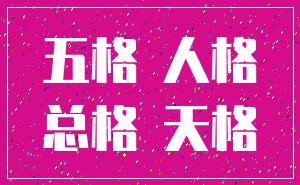 五格 人格_总格 天格