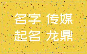 名字 传媒_起名 龙鼎