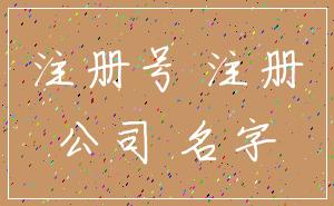 注册号 注册_公司 名字