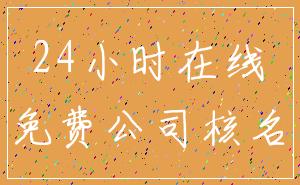 24小时在线_免费公司核名